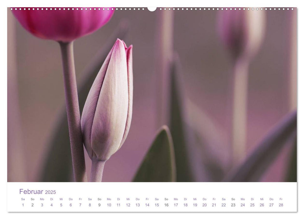 Blumen & Blüten Träume (CALVENDO Premium Wandkalender 2025)