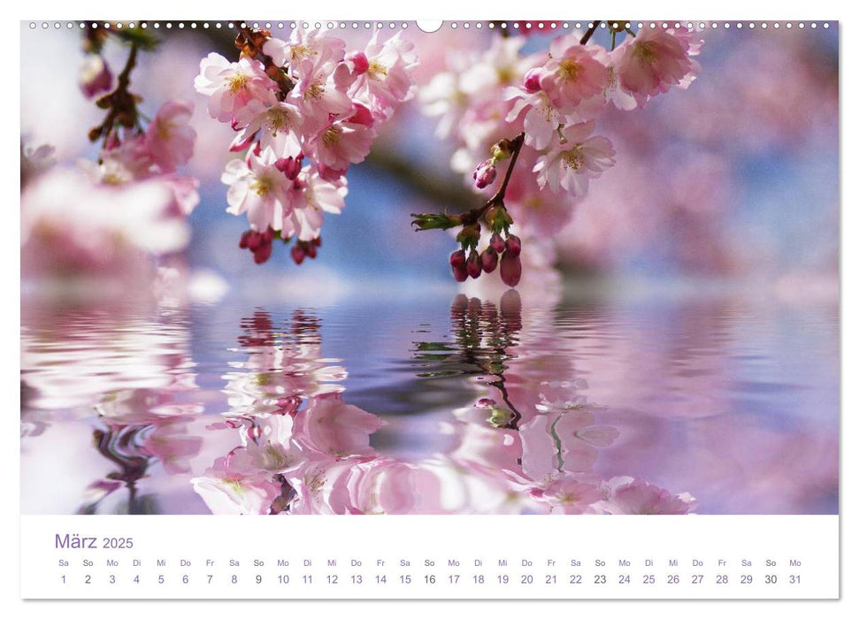 Blumen & Blüten Träume (CALVENDO Premium Wandkalender 2025)