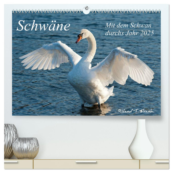 Mit dem Schwan durchs Jahr 2025 (CALVENDO Premium Wandkalender 2025)