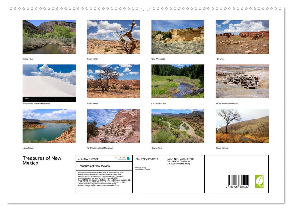 Treasures of New Mexico (CALVENDO Premium Wandkalender 2025)