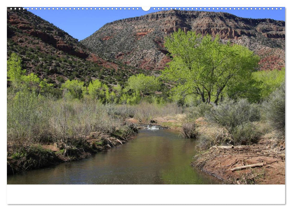 Treasures of New Mexico (CALVENDO Premium Wandkalender 2025)