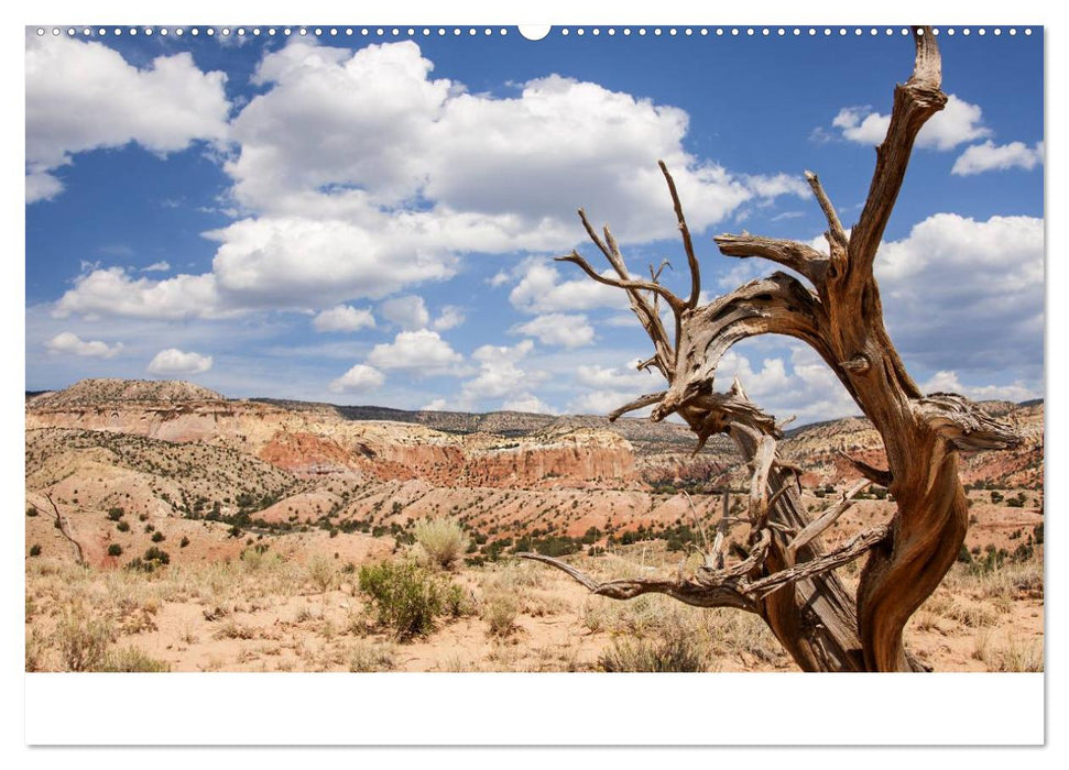 Treasures of New Mexico (CALVENDO Premium Wandkalender 2025)