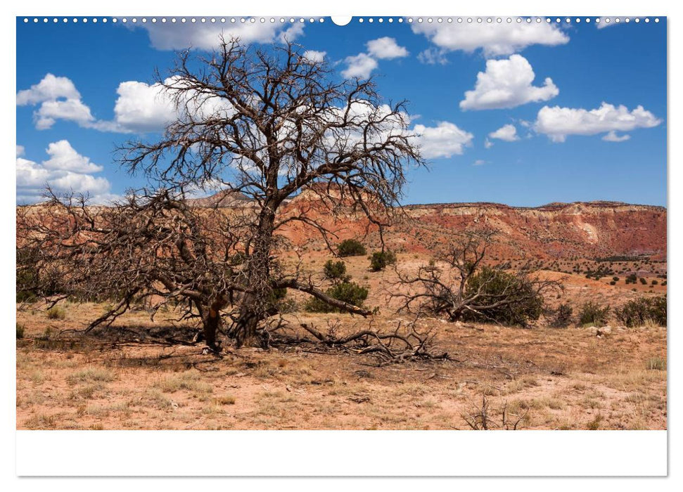 Treasures of New Mexico (CALVENDO Premium Wandkalender 2025)