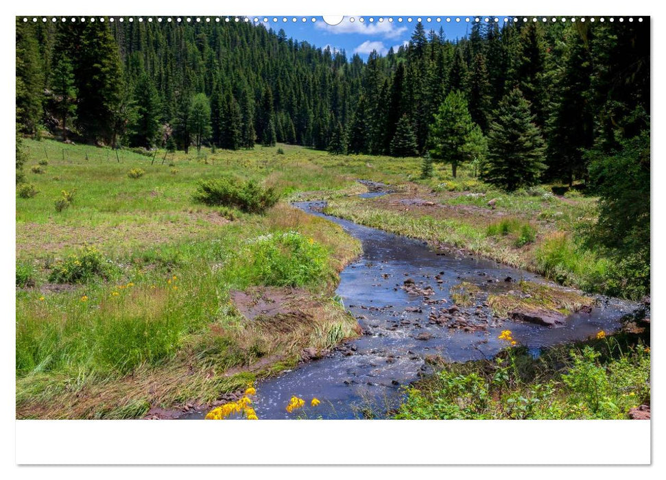 Treasures of New Mexico (CALVENDO Premium Wandkalender 2025)