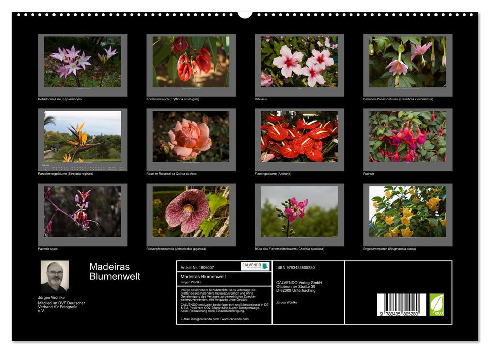 Madeiras Blumenwelt (CALVENDO Premium Wandkalender 2025)