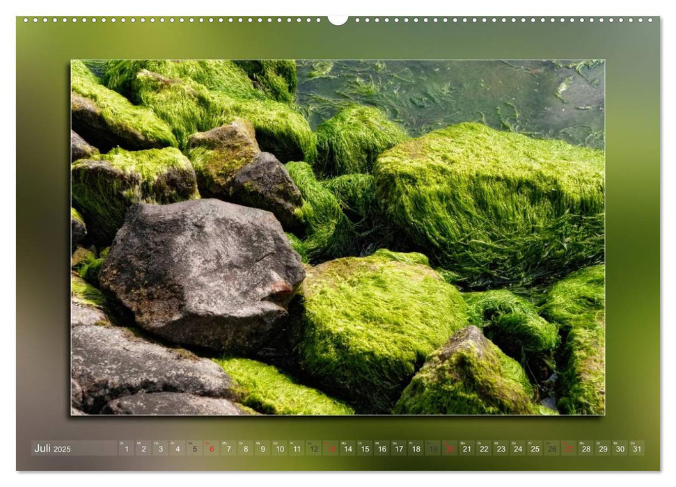 Steine, Felsen und Meer (CALVENDO Premium Wandkalender 2025)