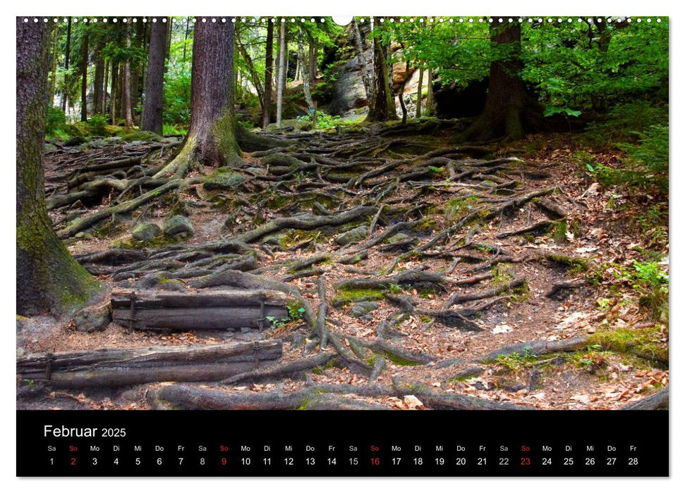 Reise durch das Elbsandsteingebirge (CALVENDO Premium Wandkalender 2025)