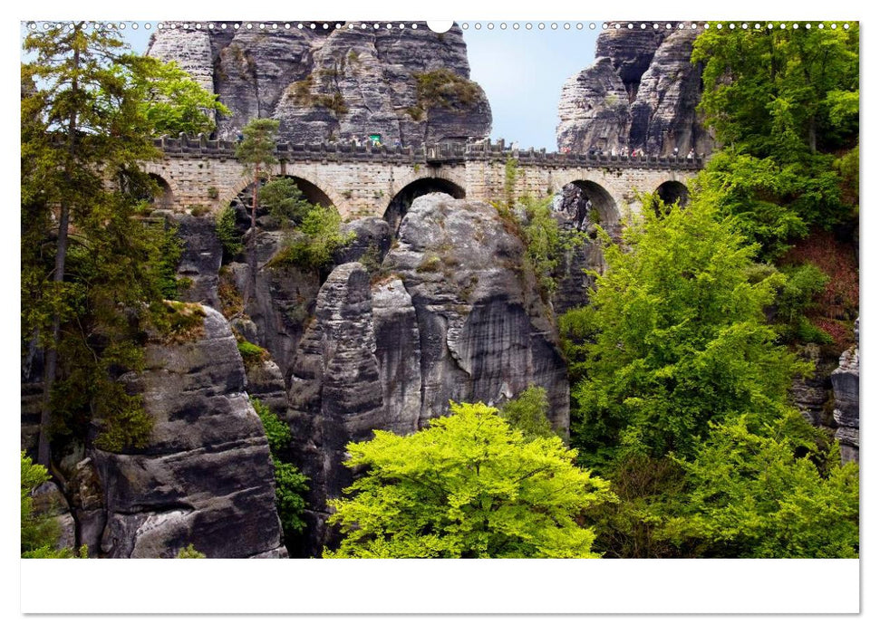 Reise durch das Elbsandsteingebirge (CALVENDO Premium Wandkalender 2025)