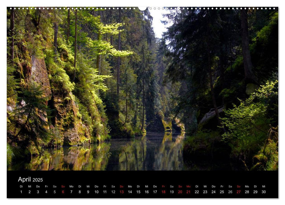 Reise durch das Elbsandsteingebirge (CALVENDO Premium Wandkalender 2025)