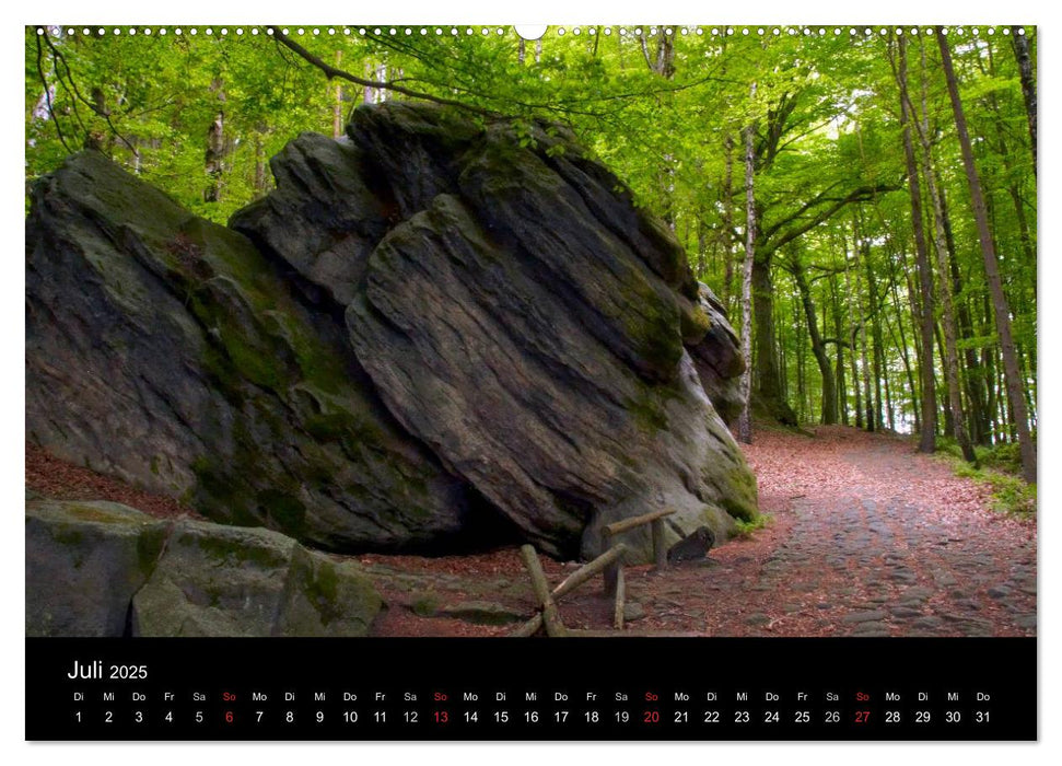 Reise durch das Elbsandsteingebirge (CALVENDO Premium Wandkalender 2025)