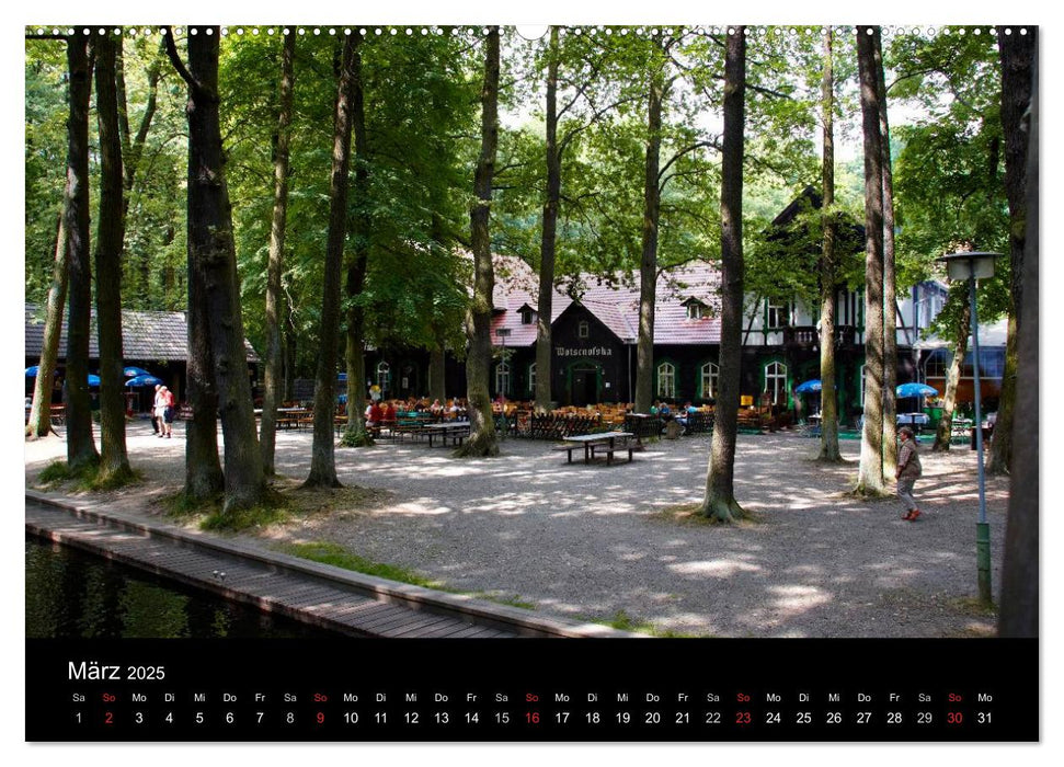 Geheimnisvoller Spreewald (CALVENDO Premium Wandkalender 2025)