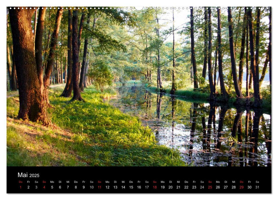 Geheimnisvoller Spreewald (CALVENDO Premium Wandkalender 2025)