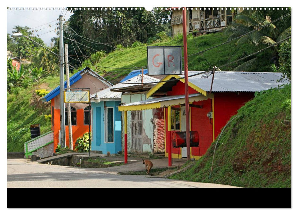 Trinidad & Tobago (CALVENDO Premium Wandkalender 2025)