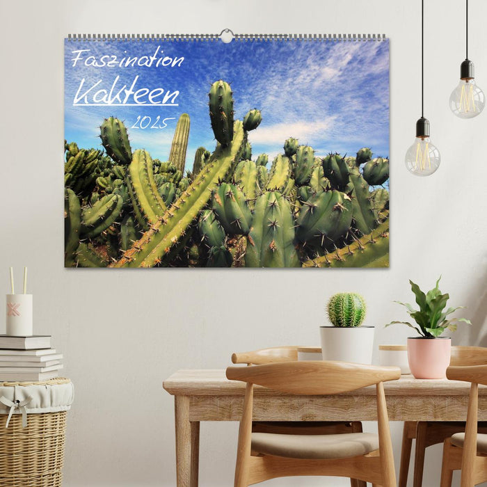 Faszination Kakteen (CALVENDO Wandkalender 2025)