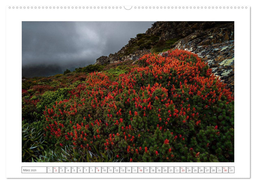 Tasmanien (CALVENDO Wandkalender 2025)