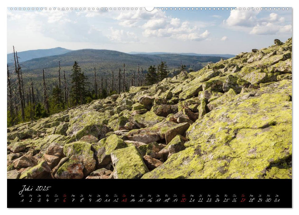 Bayerischer Wald (CALVENDO Premium Wandkalender 2025)