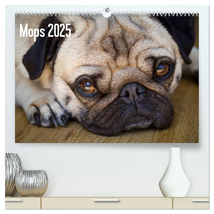 Mops 2025 (CALVENDO Premium Wandkalender 2025)