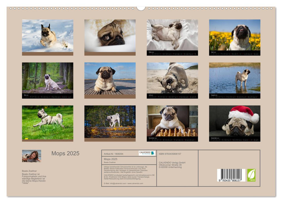 Mops 2025 (CALVENDO Premium Wandkalender 2025)