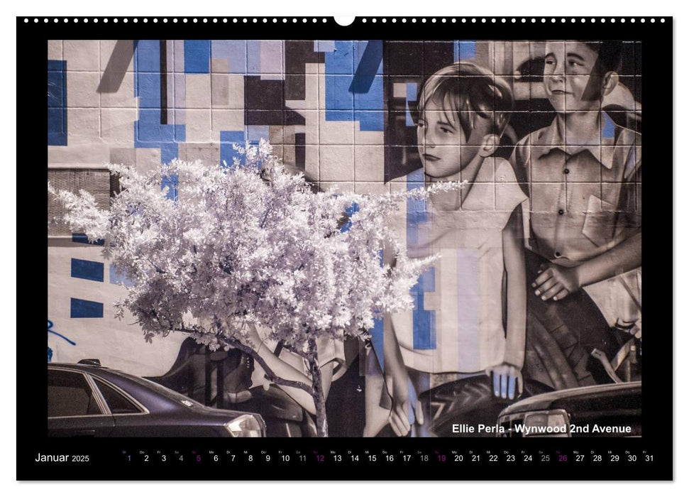 ELLIE PERLA - WYNWOOD STREET ART (CALVENDO Premium Wandkalender 2025)