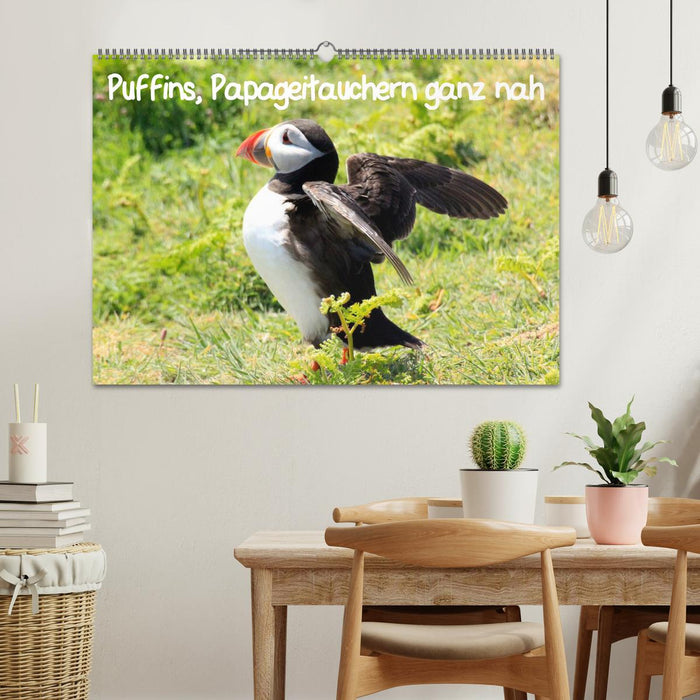 Puffins, Papageitauchern ganz nah (CALVENDO Wandkalender 2025)