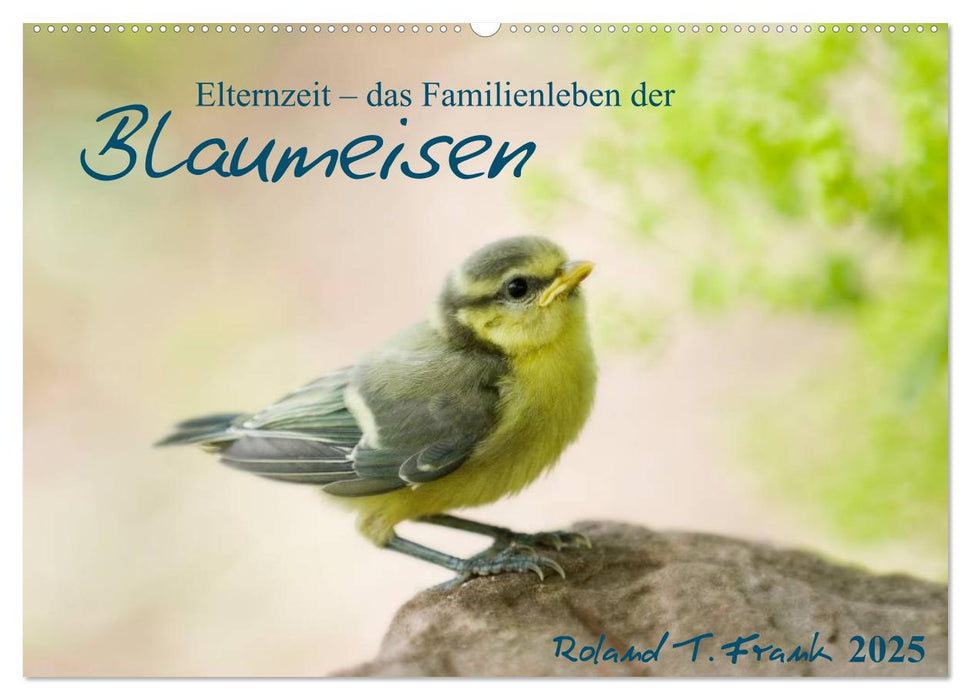 Elternzeit - das Familienleben der Blaumeisen (CALVENDO Wandkalender 2025)