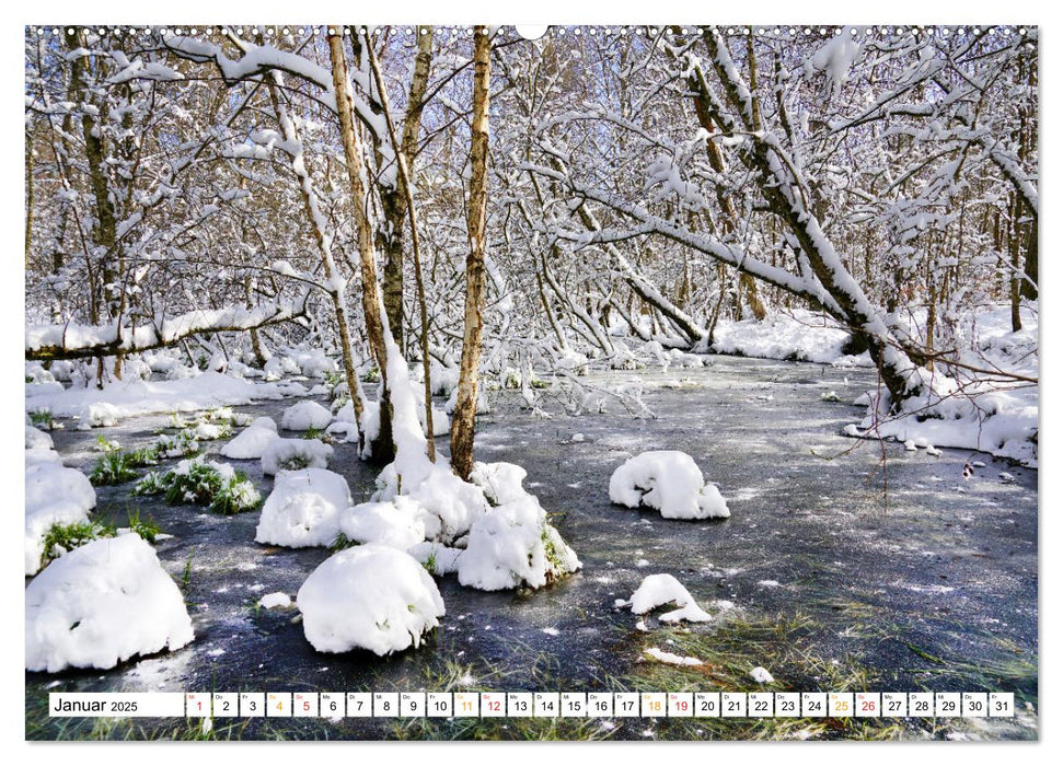 12 Monate Natur (CALVENDO Wandkalender 2025)