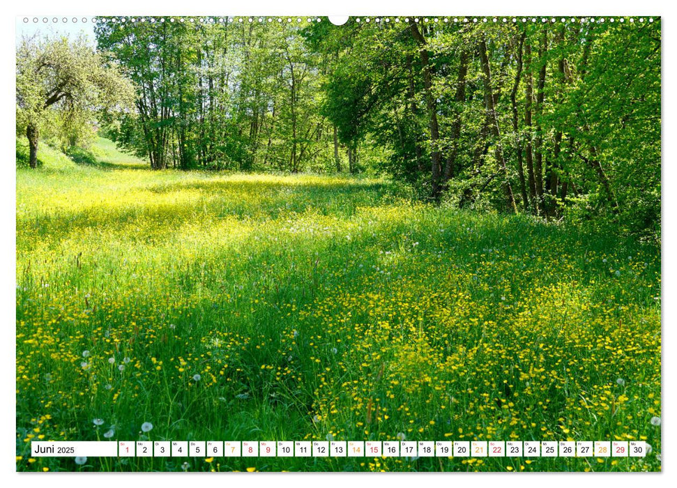 12 Monate Natur (CALVENDO Wandkalender 2025)