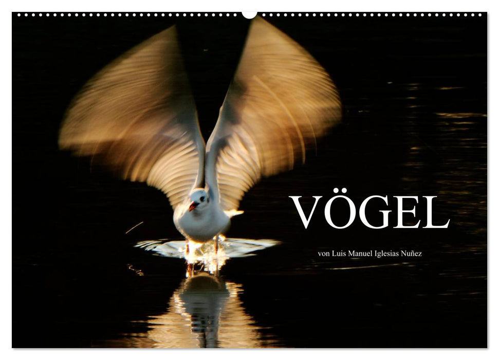 VÖGEL (CALVENDO Wandkalender 2025)