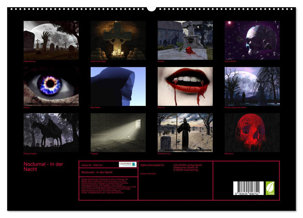 Nocturnal - In der Nacht (CALVENDO Premium Wandkalender 2025)