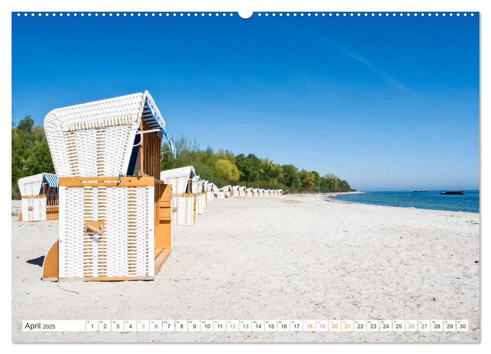 Strandkörbe 2025 (CALVENDO Premium Wandkalender 2025)