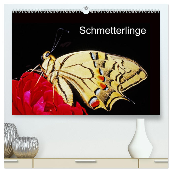 Schmetterlinge (CALVENDO Premium Wandkalender 2025)