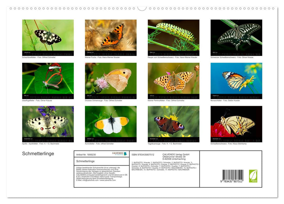 Schmetterlinge (CALVENDO Premium Wandkalender 2025)