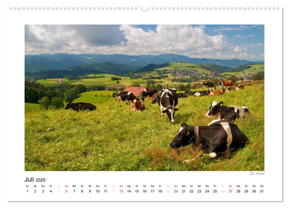 Schwarzwald 2025 (CALVENDO Premium Wandkalender 2025)