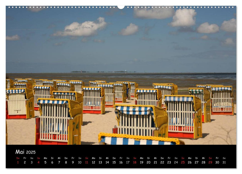 An der Nordseeküste... (CALVENDO Premium Wandkalender 2025)