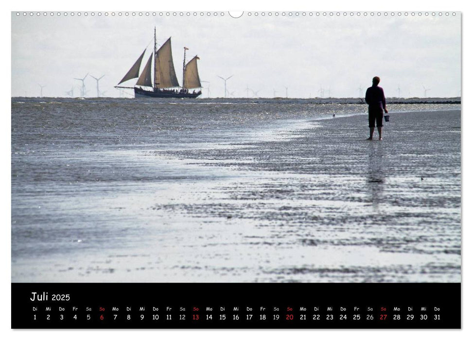 An der Nordseeküste... (CALVENDO Premium Wandkalender 2025)