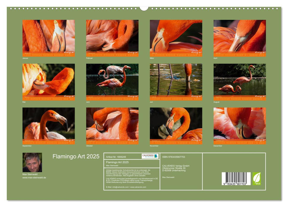 Flamingo Art 2025 (CALVENDO Premium Wandkalender 2025)