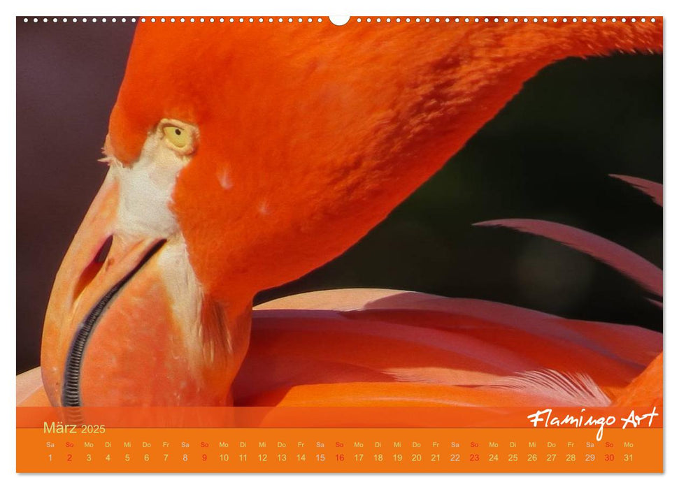 Flamingo Art 2025 (CALVENDO Premium Wandkalender 2025)