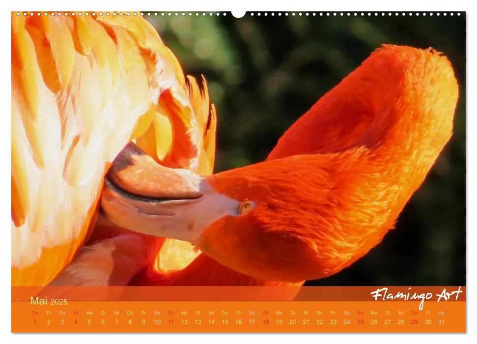 Flamingo Art 2025 (CALVENDO Premium Wandkalender 2025)