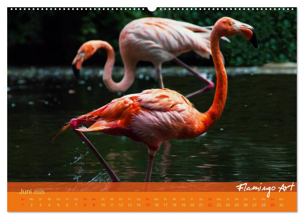 Flamingo Art 2025 (CALVENDO Premium Wandkalender 2025)