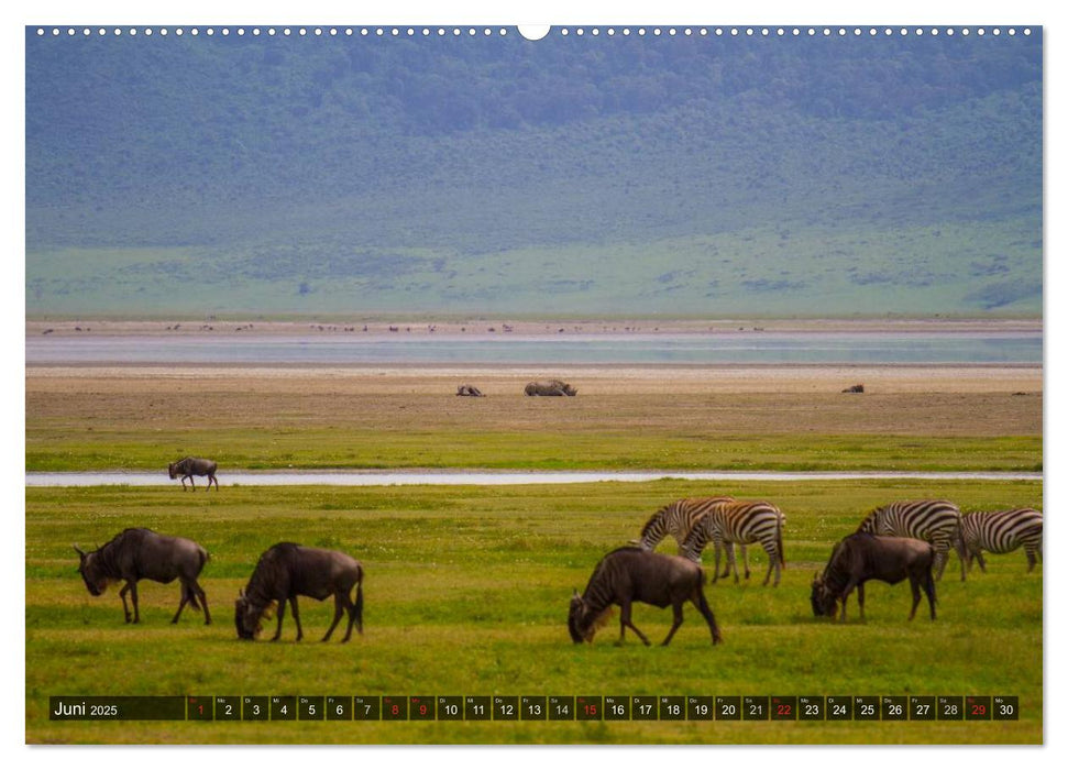 Abenteuer Tansania, Afrika (CALVENDO Wandkalender 2025)