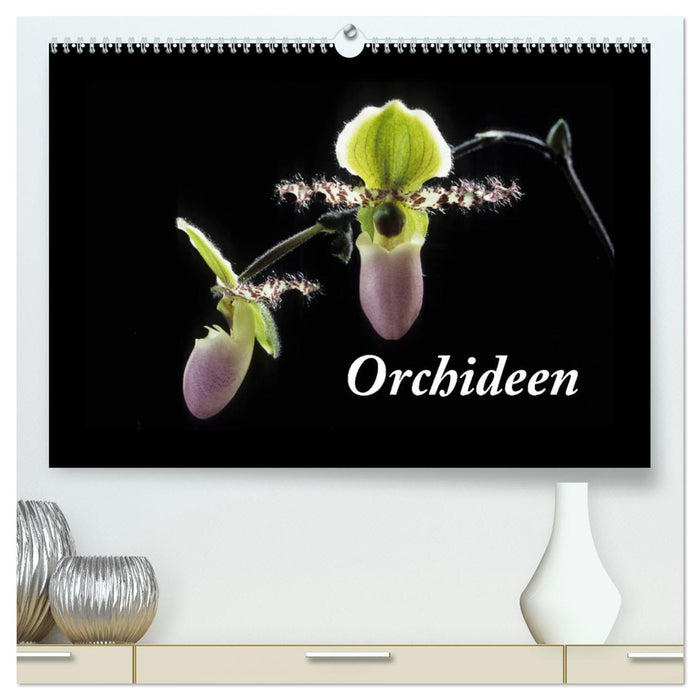 Orchideen 2025 (CALVENDO Premium Wandkalender 2025)