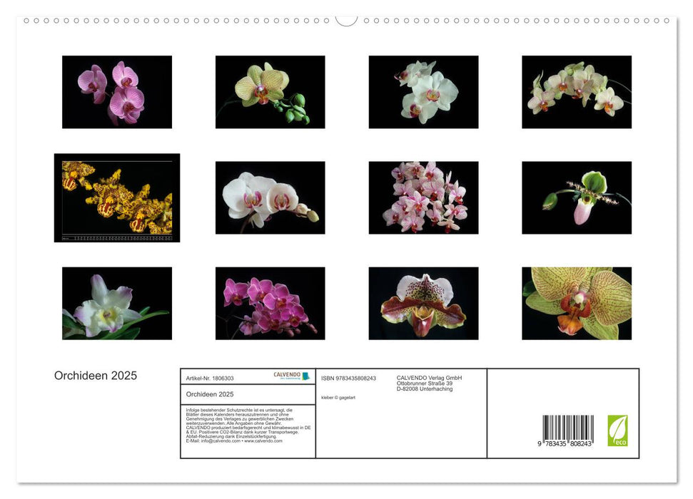 Orchideen 2025 (CALVENDO Premium Wandkalender 2025)