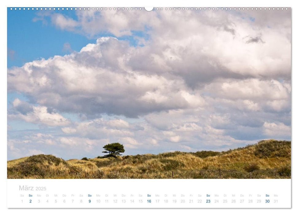 Ameland (CALVENDO Premium Wandkalender 2025)