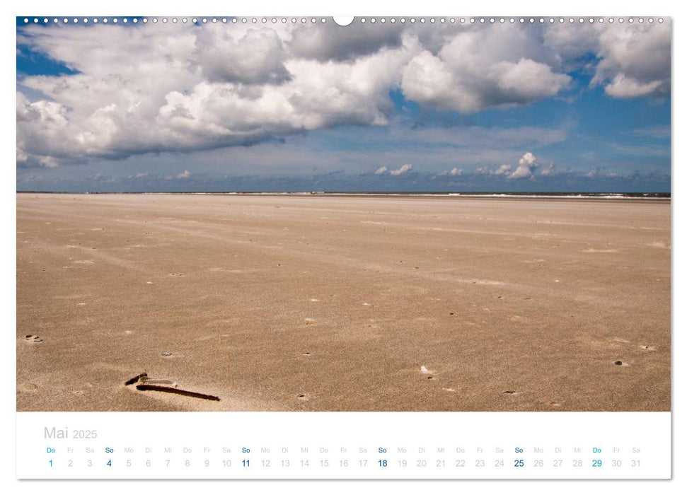 Ameland (CALVENDO Premium Wandkalender 2025)