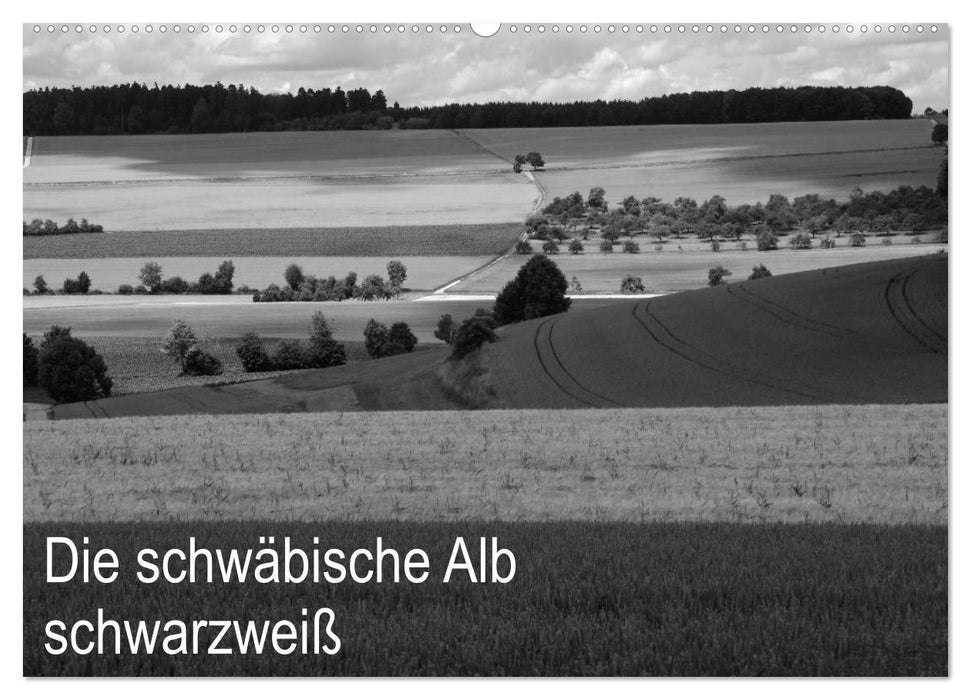 Schwäbische Alb schwarzweiß (CALVENDO Wandkalender 2025)