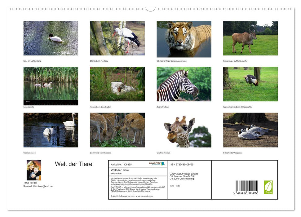 Welt der Tiere (CALVENDO Premium Wandkalender 2025)