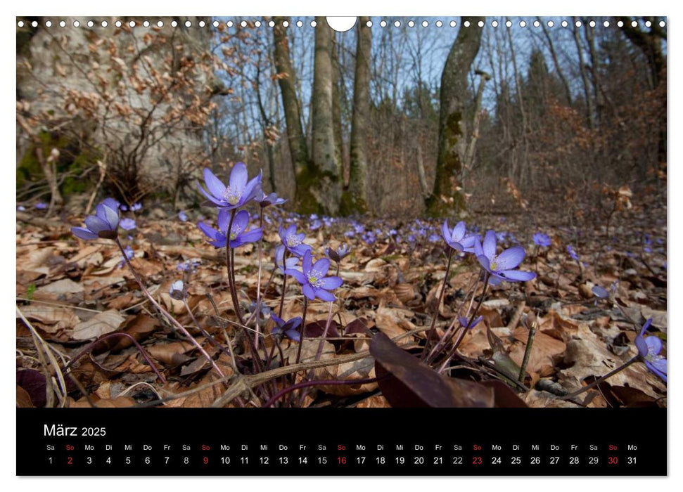 Heimatzeit - ein Jahr um Schwabmünchen (CALVENDO Wandkalender 2025)