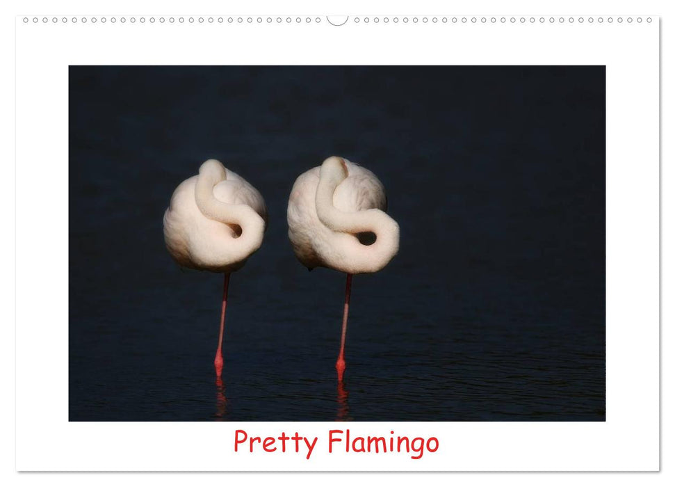 Pretty Flamingo (CALVENDO Wandkalender 2025)