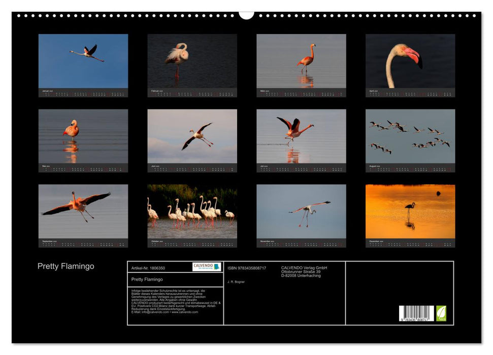 Pretty Flamingo (CALVENDO Wandkalender 2025)