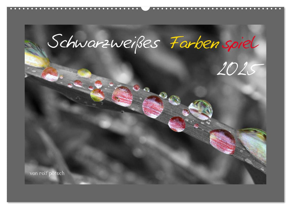 Schwarzweißes Farbenspiel 2025 / AT Version (CALVENDO Wandkalender 2025)